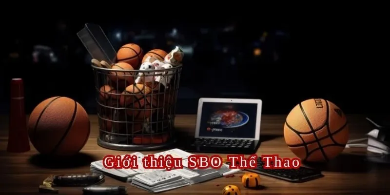 SBO Thể Thao là sảnh chơi siêu hot 2025